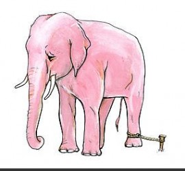 ο αλυσοδεμένος ελέφαντας