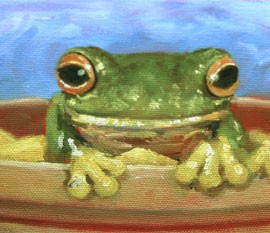 Frog-Butterjuniorsclub
